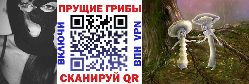 как найти закладки  Нерехта  Псилоцибиновые грибы GOLDEN TEACHER 