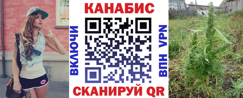 Бошки Шишки THC 21%  Нерехта 